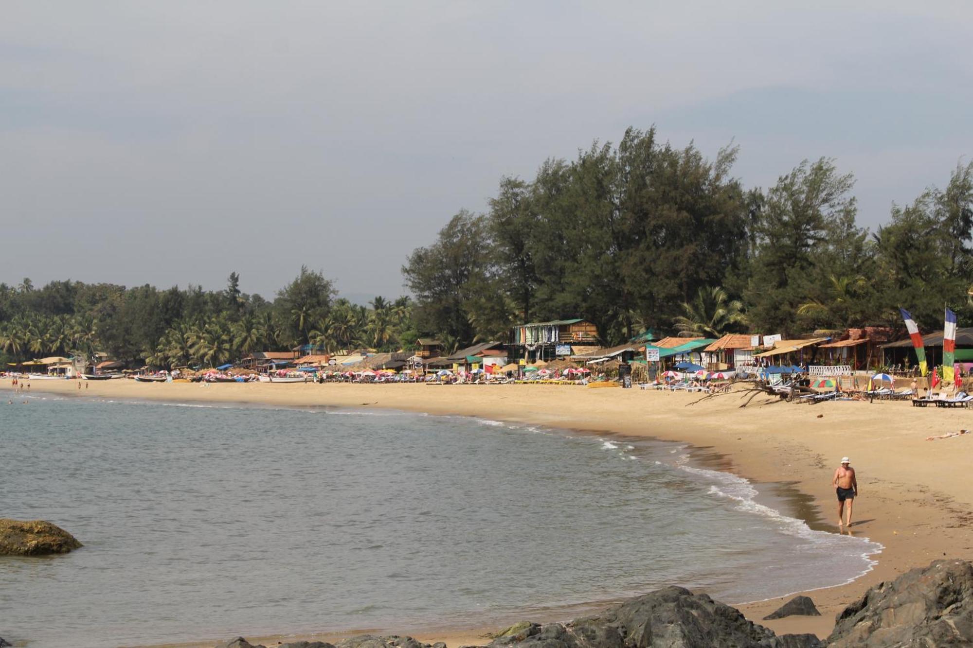 ザ パーム ツリーズ アーユルヴェディック リゾート パトナム Patnem Beach エクステリア 写真